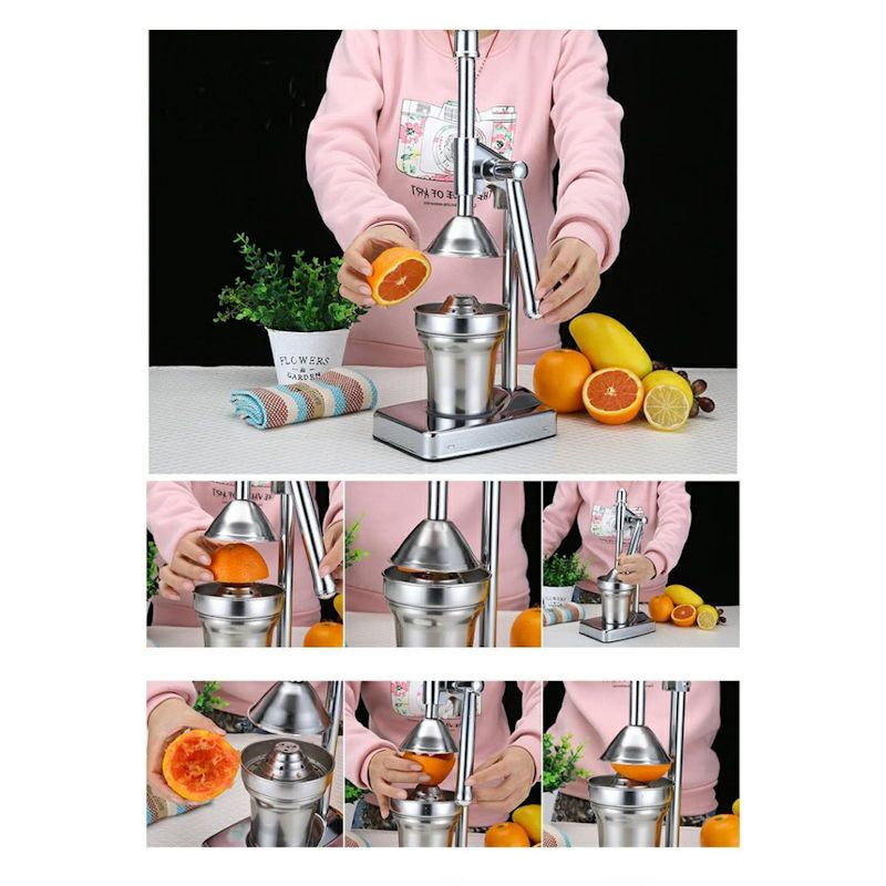 uitzondering handicap Schildknaap DECOPATENTDecopatent® Sinaasappelpers handmatig met hendel - Staande  Citruspers - Citruspers - Fruitpers - Handmatige Sinaasappel juicer -  𝕍𝕖𝕣𝕜𝕠𝕠𝕡 ✪ 𝕔𝕠𝕞