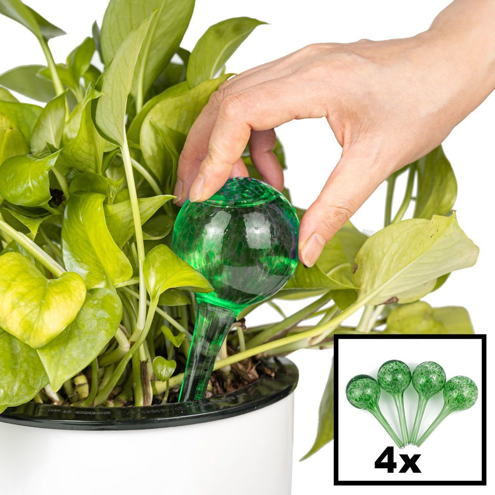 Conjugeren botsing Kent DECOPATENTDecopatent® 4 Stuks - Waterdruppelaar voor Planten - Watergever - Glas - Waterbollen - Watergeefsysteem - Plantenbollen - Groen - 𝕍𝕖𝕣𝕜𝕠𝕠𝕡 ✪ 𝕔𝕠𝕞 Conjugeren botsing Kent DECOPATENTDecopatent® 4 Stuks - Waterdruppelaar voor Planten - Watergever - Glas - Waterbollen - Watergeefsysteem - Plantenbollen - Groen - 𝕍𝕖𝕣𝕜𝕠𝕠𝕡 ✪ 𝕔𝕠𝕞