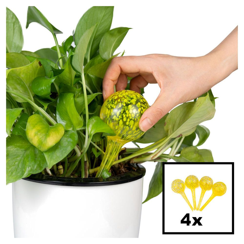 toon Vergoeding afdrijven DECOPATENTDecopatentยฎ 4 Stuks - Waterdruppelaar voor Planten - Watergever - Glas - Waterbollen - Watergeefsysteem - Plantenbollen - Geel - ๐๐๐ฃ๐๐ ๐ ๐ก โช ๐๐ ๐ toon Vergoeding afdrijven DECOPATENTDecopatentยฎ 4 Stuks - Waterdruppelaar voor Planten - Watergever - Glas - Waterbollen - Watergeefsysteem - Plantenbollen - Geel - ๐๐๐ฃ๐๐ ๐ ๐ก โช ๐๐ ๐